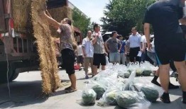 吃瓜甘肃的大学,甘肃大学生的生活剪影