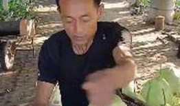 嘉兴吃瓜哥,揭秘当地美食背后的故事