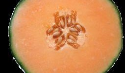 少女吃哈密瓜,少女邂逅哈密瓜的清新美味之旅