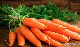 吃瓜的胡萝卜,揭秘瓜果与蔬菜的奇妙融合