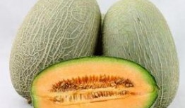 吃哈密瓜可以吃土豆吗,同食相宜的奇妙搭配