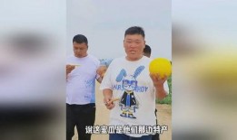 姐妹兄弟吃瓜,揭秘娱乐圈幕后风云