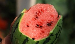 甜王吃瓜,揭秘娱乐圈甜蜜背后的瓜田秘事