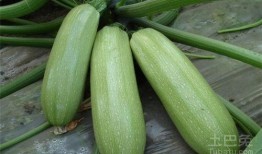 云盘吃瓜(3506),揭秘3506背后的网络风云