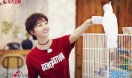 王源吃瓜合集,揭秘娱乐圈幕后故事