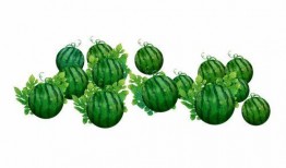 阿周吃瓜,揭秘娱乐圈那些不为人知的幕后故事