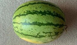 老外吃中国瓜视频,品尝地道美味，感受中华美食魅力