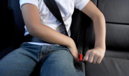 娱乐吃瓜酱女生安全带,揭秘明星出行安全新潮流