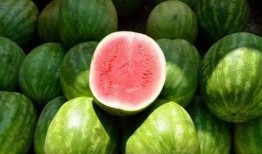 吃瓜运用举例,吃瓜群众视角下的社会现象解析