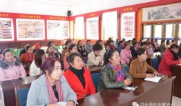 巢湖一中网课蜜桃吃瓜