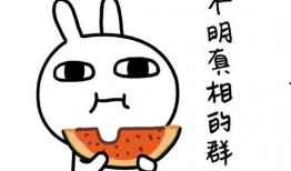 推文吃瓜修仙,揭秘网络热词背后的修真奥秘