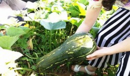 跟着岑岑有瓜吃,探寻美食背后的故事与魅力