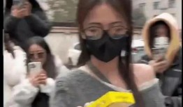 吃瓜爆料大叔视频大全,视频大全背后的故事与真相