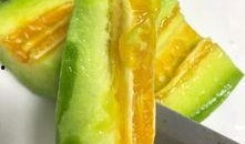 吃瓜失败的经历,揭秘那些让人失望的瓜界真相