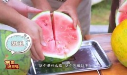 云浮市吃瓜,瓜果飘香，品味夏日清凉