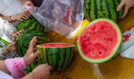 吃瓜视频好卖吗,热门话题的“瓜”香四溢，市场前景如何？