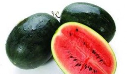 雅丽吃的大瓜内容,娱乐圈幕后真相大曝光