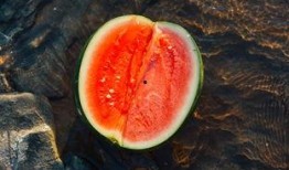 枫林吃瓜,揭秘娱乐圈幕后故事