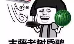 吃瓜好青年,网络时代的娱乐观察者