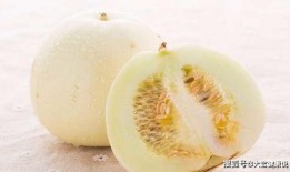 吃蜜瓜女子,甜蜜邂逅，浪漫启程