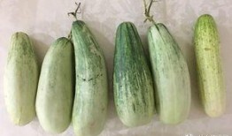 吃瓜失败的经历,揭秘那些让人失望的瓜界真相