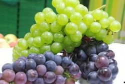 吃瓜群众葡萄儿,揭秘娱乐圈幕后故事