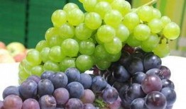 吃瓜群众葡萄儿,揭秘娱乐圈幕后故事