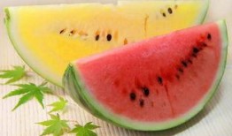 吃大瓜作品,揭秘娱乐圈背后的秘密与真相